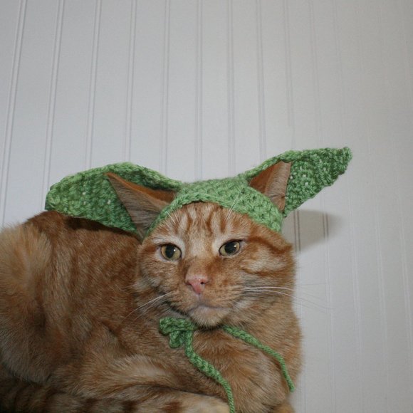 Hand Crafted Other - HAND CRAFTED Baby Yoda Mandalorian Crochet Cat Hat Wig Ears Costume Photo Prop